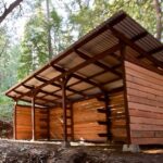 What Wood Is Best to Build a Shed? (Complete Guide)