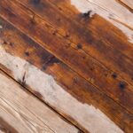 Why Is Your Shed Floor Wet? (Preventions)