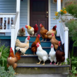 5 Effective Ways to Keep Chickens Off Your Porch