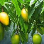 How to Grow Mango Trees from Cuttings in Water