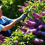 How & When To Prune Lilacs For Brilliant Blooms Every Year