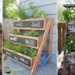 23 Best Ladder Herb Garden Ideas