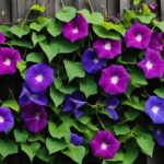 9 Plants You’ll Wish You Never Planted