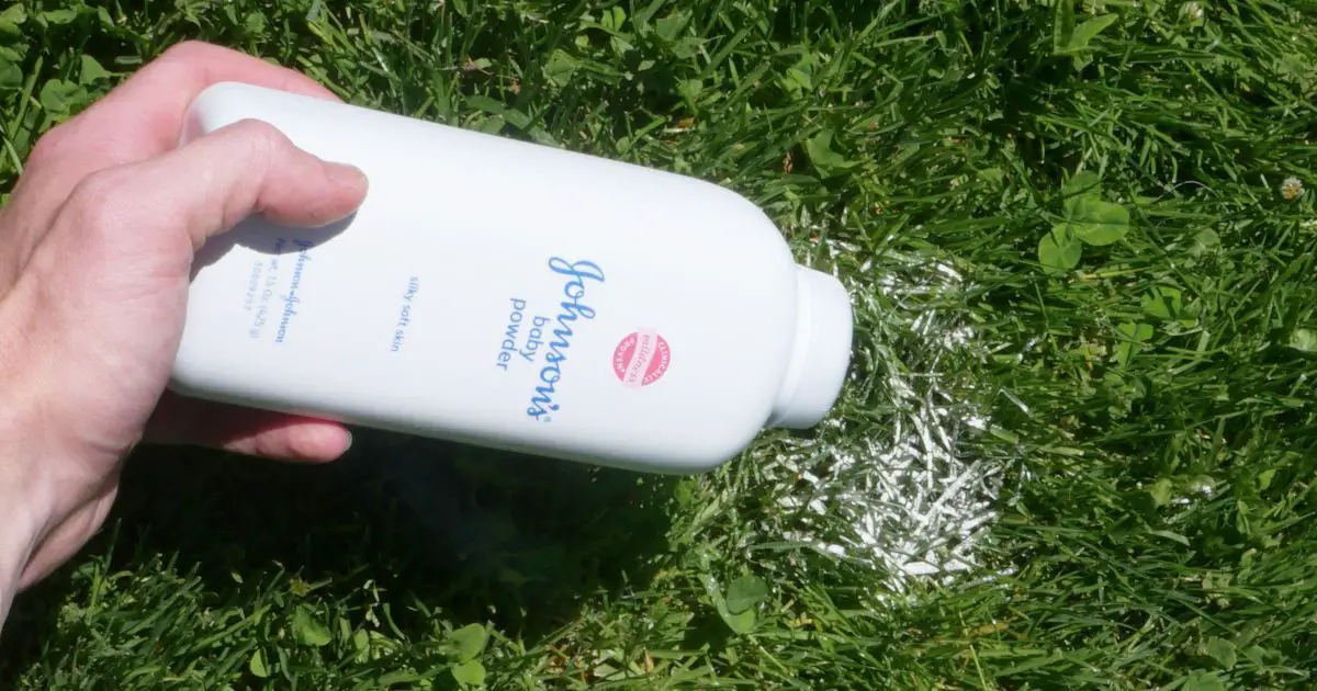 5 Clever ways baby powder can work wonders in your garden