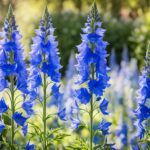 How To Grow A Delphinium and Care Guide