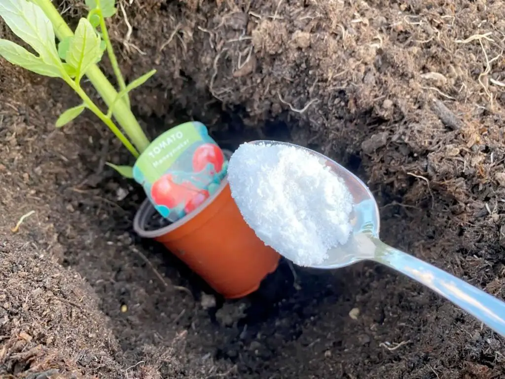 Baking soda is a gardener’s best friend—Here’s why